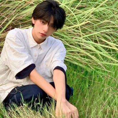 易次元深宫曲官方下载